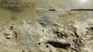 Review Pancing Belut Ala Norkhamed 8// langsung Tes spot mangrove betahwalang.
