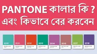 How to find pantone color code in illustrator | কিভাবে প্যানটন কালার কোড বের করা যায়।