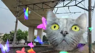 Wuaoww Mantul Kepala Harimaou #keretaapiindonesia #viral .Wiih Kepala Kuda .Ma Nyoss