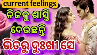 💕କଣ ଭାବୁଛନ୍ତି ସେ 😍💕 odia current feelings tarot card reading 💕 odia love Tarot current feelings 