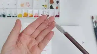 Long and boring video of me testing different watercolour brushes
