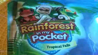 Closer look at Rainforest in my pocket toys