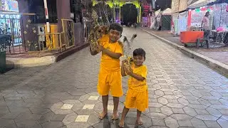 Thaipusam 2026 @ Batucaves 