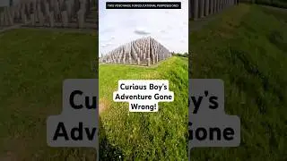 Curious Boy&rsquo;s Adventure Gone Wrong! #facts #shorts