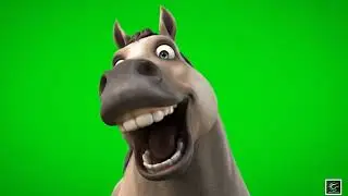🐴 VFX Green Screen Donkey &ndash; FREE GREEN SCREEN