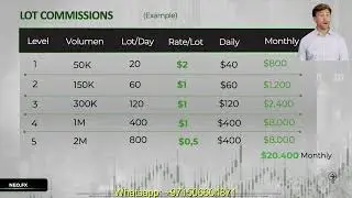🇬🇧 How to earn money with Neo fx Marketingplan explained