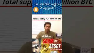 Will Bitcoin price go down to 0?📉