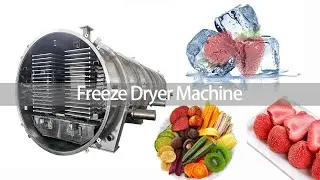 Commercial Large Vacuum Freeze Dryer Machine Lyophilizer For Fruit and Vegetable Manufacturer