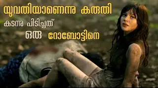 ചറപറാ  അടി കിട്ടി അവൻറെ കാര്യം തീരുമാനമായി / Companion 2025 Film Explained in Malayalam