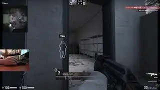 Zalman FPSGun | Max Potato | Silver Pwnage