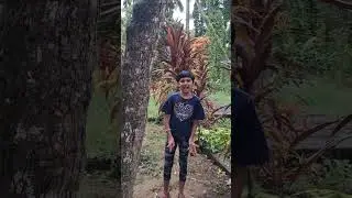 #QATAL#trending#viraldance#dancesteptrends#musictrends#shortsfeed #vibedance#popular#dancehit#💙🤍🎵💃