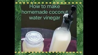 How to make homemade coconut water vinegar: ( Detailed Processes)