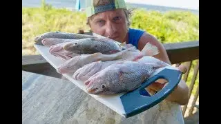 How to Catch Clean and Cook Croaker - Awesome Croaker Recipe