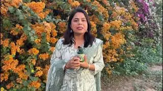 Vlados Himalayan Organics | Milk Thistle Capsules | Treat Non Alcoholic Fatty Liver
