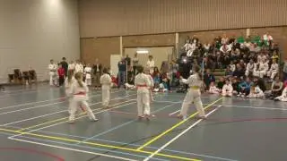 demonstratie Tamashii
