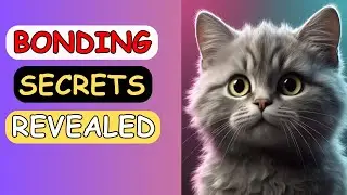 The Science Behind Cat-Human Bonding