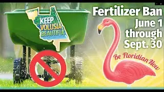 Lawn Care Made Easy: Volusia County Fertilizer Guide & Shopping Tips