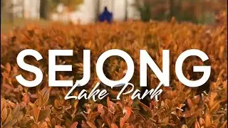 Sejong Lake Park | Self-Care Friendly Place