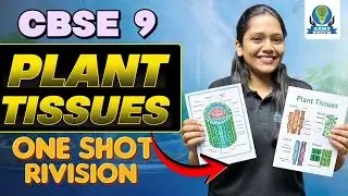 Plant Tissues Explained | Meristematic & Permanent | #class9th #cbseclass9