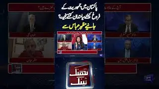 How Dedicated are Politicians to Promoting Democracy in Pakistan? | #thinktank #shorts #shortsviral