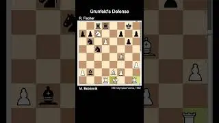 Botvinnik vs Fischer &mdash; Their Only Game! (Varna 1962)