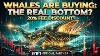 While Retail Dumped, Whales Did This to Bitcoin #Bybit Fee Discount