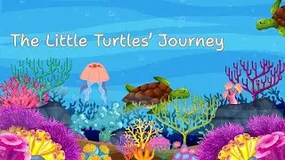 MW Sensory & Story - Lyrical Lullaby 27 - The Little Turtles' Journey