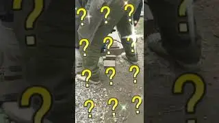 A dog watches the manufacture of a gravel crate(Собака наблюдает за изготовлением ящика для гравия).