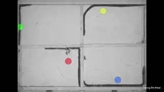 Earthworm locomotion tracking by centroid method (30X speed up)