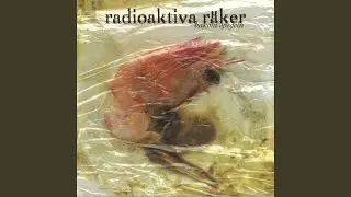 Bakom Spegeln