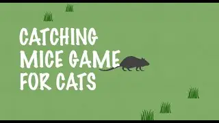 CAT GAMES 猫用動画 - Fun Mouse Chase Game