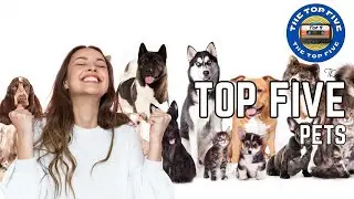 Exploring the World of Cherished Companions: Top 5 Pets [4K]