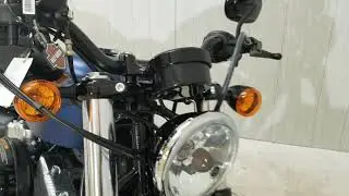 2018 Sportster 48 115th Anniversary  AT416036