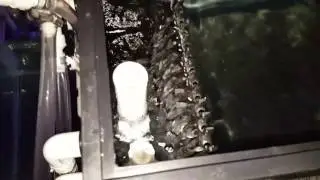 Quick update on new frag system. Partially operational!