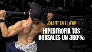 Entrenamiento ÓPTIMO de espalda. (GYM EDITION)