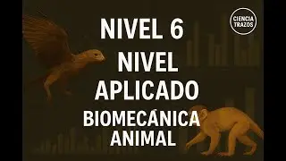 La Conexi&oacute;n Total | Comprendiendo la Biomec&aacute;nica Animal desde la Naturaleza hasta la Tecnolog&iacute;a
