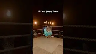 POV Fighting against Chicken Jockey UIAI