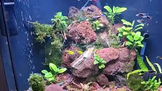 Краткий обзор после подмены