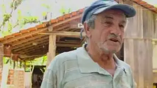 A FARINHA DE MANDIOCA NO LITORAL DO PARANÁ | Sebrae/PR