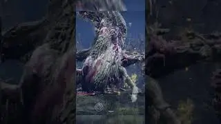 EldenRing Nightreign fight the boss Ulcerated tree spirit #foryou #funny #eldenring #fyp