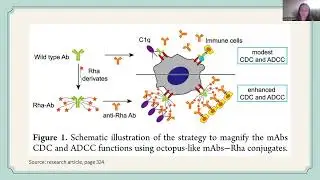 Engineering Antibody Effector Power for Cancer Immunotherapy