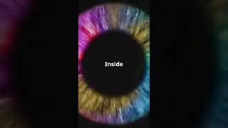 Why Do We See Colors  2024  #amazingworld #space #ancientmysteries #cosmos#nature #colors