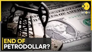 Petrodollar Deals Decline? BRICS Lays Groundwork For New Global Payment System | WION