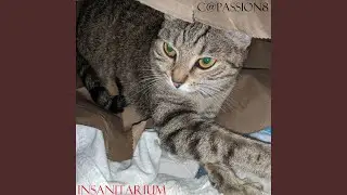 Insanitarium