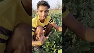 online kheti karne ka नतिजा