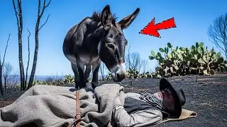 Cowboy Bought Scorched Desert Land for $25 &mdash; Abandoned Donkey There Changed Everything