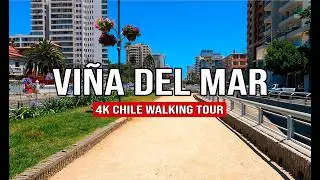 Calle Viana al Reloj de Flores 4K 🇨🇱 | Chile Walking Tour