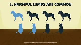 Lumps and Bumps: The Benefits of Early Detection