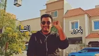 بذور الشيا 