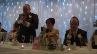 Brilliant Father of the Bride Speech - David Cook